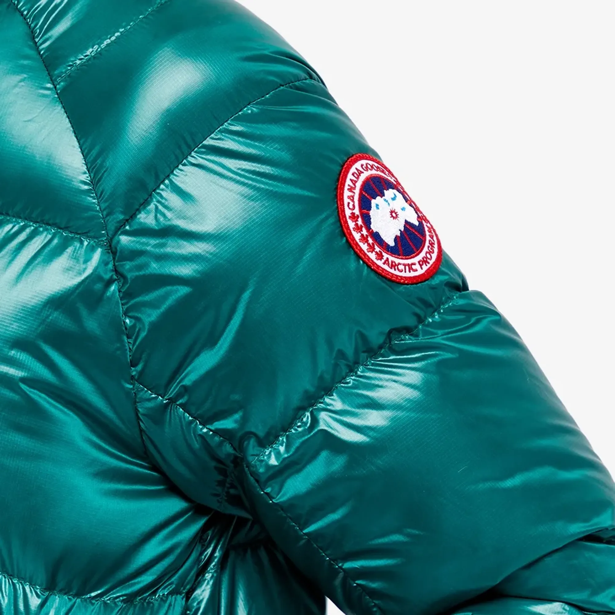 Canada goose jasper green Clearance